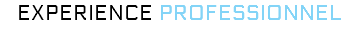 EXPERIENCE PROFESSIONNEL